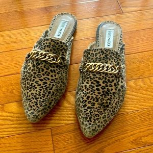 Steve Madden Leopard Print Mule with Gold Detail